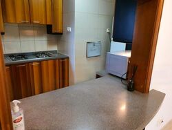 Valley Park (D10), Condominium #591259511